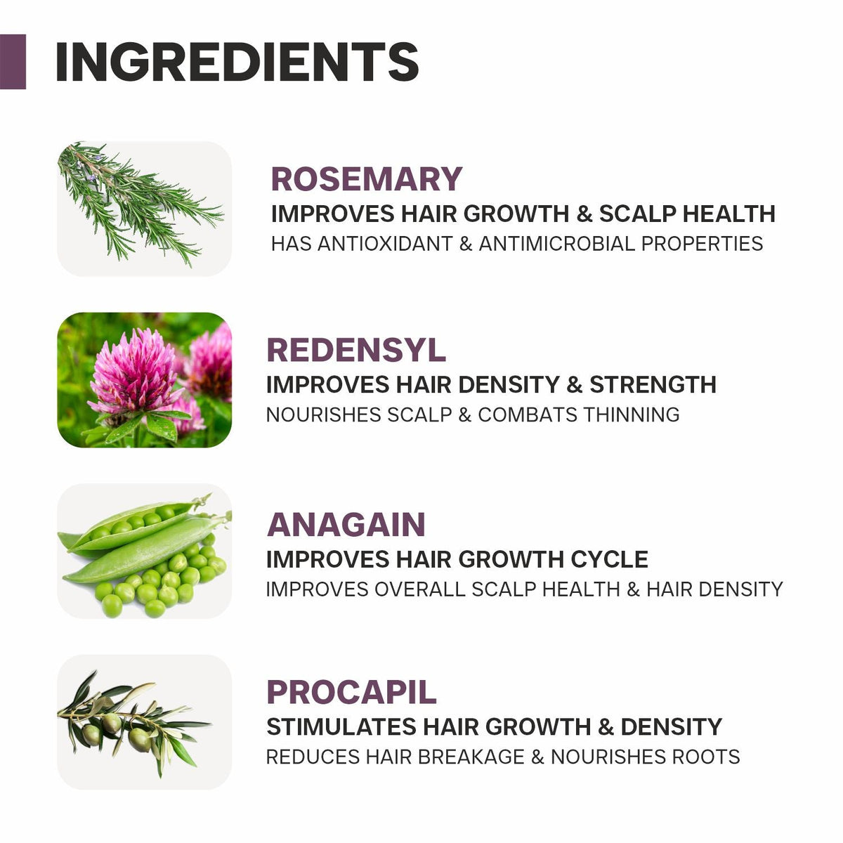 Dermatouch Actives 2% Rosemary Water